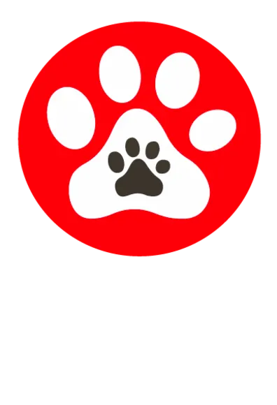 dog paws red
